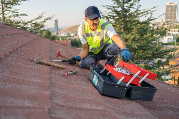 Best Fascia and Soffit Installation  in Tornillo, TX